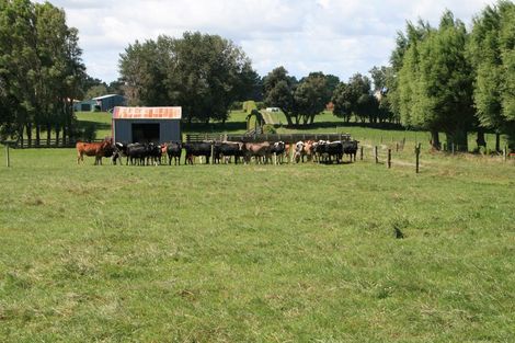 Photo of property in 111 Ohangai Road, Normanby, Hawera, 4675