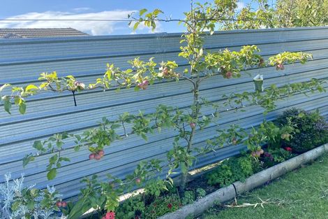 Photo of property in 29 Churchill Crescent, Tawhero, Whanganui, 4501