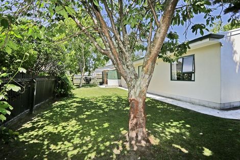 Photo of property in 506a Queen Street East, Hastings, 4122