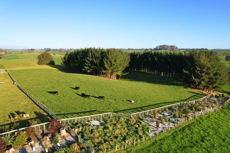 Photo of property in 11c Jones Road, Lichfield, Putaruru, 3482