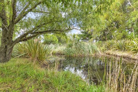 Photo of property in 161 Ward Road, Cheviot, 7381