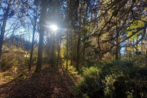 Photo of property in 3 Sim Road, Pukemaori, Otautau, 9682