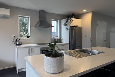 Photo of property in 71 Essex Street, Phillipstown, Christchurch, 8011