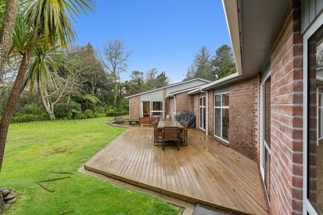 Photo of property in 14 Verona Place, Stratford, 4332