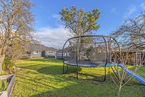 Photo of property in 312 Cranford Street, St Albans, Christchurch, 8052