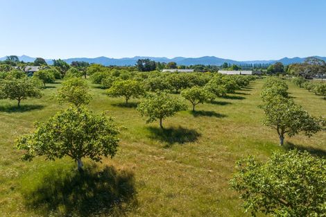 Photo of property in 187 Wither Road, Witherlea, Blenheim, 7201