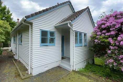 Photo of property in 499 South Road, Calton Hill, Dunedin, 9012