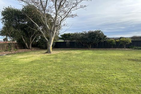 Photo of property in 460 Tremaine Avenue, Takaro, Palmerston North, 4410