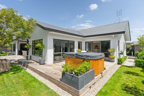 Photo of property in 46a Essex Street, Masterton, 5810