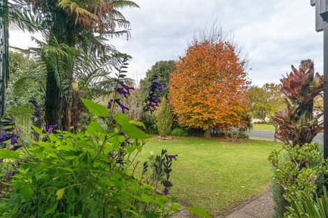 Photo of property in 22 Weka Street, Matamata, 3400