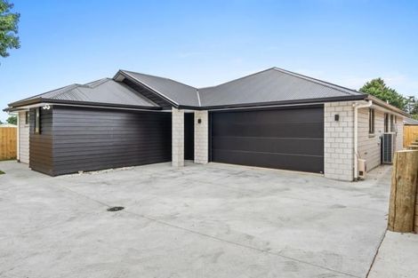 Photo of property in 2/461 Mandeno Street, Te Awamutu, 3800