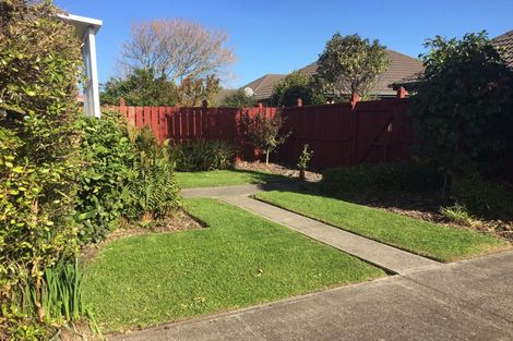 Photo of property in 1/41 Lyndon Street, Riccarton, Christchurch, 8041