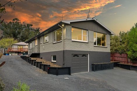 Photo of property in 98 Martin Road, Fairfield, Dunedin, 9018