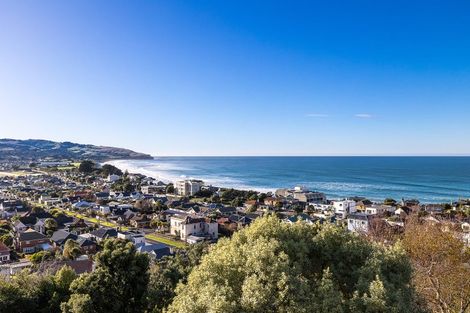 Photo of property in 46b Norfolk Street, Saint Clair, Dunedin, 9012