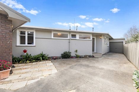 Photo of property in 164 Limbrick Street, Terrace End, Palmerston North, 4410