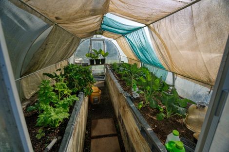 Photo of property in 91 Beach Road, Kakapotahi, Ross, 7885