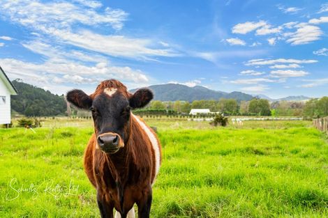 Photo of property in 32a Swamp Road, Mareretu, Maungaturoto, 0571