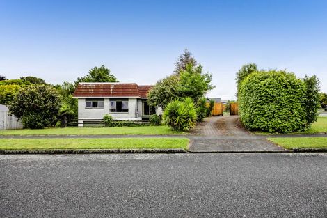 Photo of property in 19 Tybalt Street, Stratford, 4332