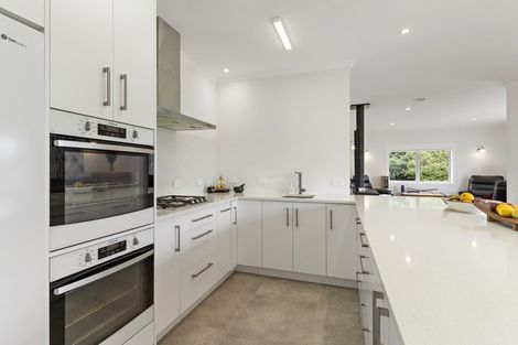 Photo of property in 672e Te Whiti Road, Te Whiti, Masterton, 5884