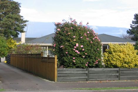 Photo of property in 44a Manson Street, Terrace End, Palmerston North, 4410