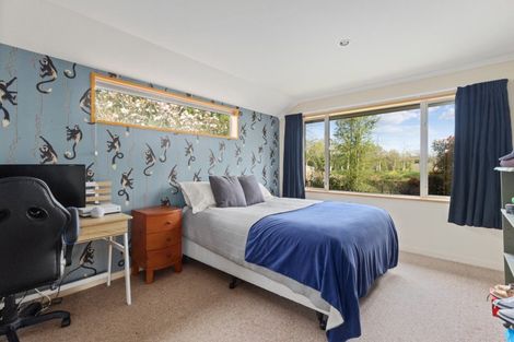 Photo of property in 50 Bassett Road, Rosewill, Timaru, 7975