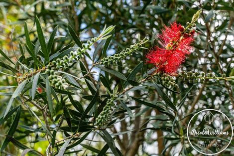 Photo of property in 9 Regent Street, Whakapirau, Maungaturoto, 0583