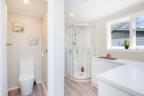 Photo of property in 22 Matipo Street, Takaro, Palmerston North, 4410