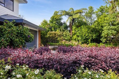 Photo of property in 9 Glanville Road, Stratford, 4332