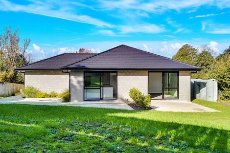 Photo of property in 99a Tuhikaramea Road, Dinsdale, Hamilton, 3204