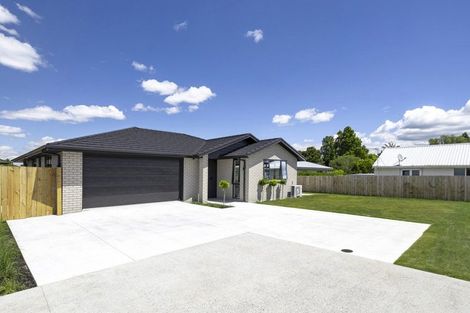 Photo of property in 152b Park Road, Horotiu, 3288