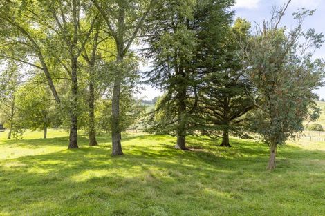 Photo of property in 397 Arataki Road, Whakamaru, Mangakino, 3492