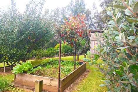 Photo of property in 47 Ness Road, Waipapa, Kerikeri, 0295