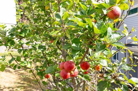 Photo of property in 34 Spencer Street, Crofton Downs, Wellington, 6035