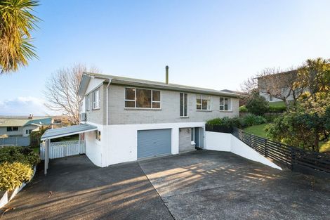 Photo of property in 102 Kingsford Place, Thames, 3500