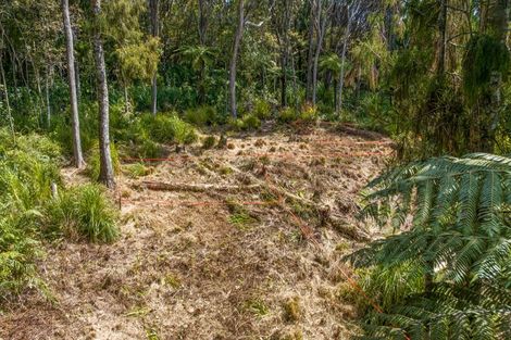 Photo of property in 252 Piha Road, Piha, 0772