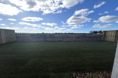 Photo of property in 24 Ellmers Street, Woodend, 7691