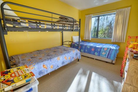 Photo of property in 25 Hartmount Place, Te Miko, Punakaiki, 7873