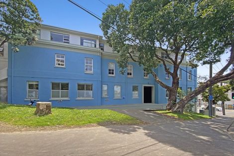 Photo of property in 13/30 Hanson Street, Mount Cook, Wellington, 6021