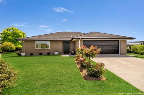 Photo of property in 11 Ngaio Street, Levin, 5510