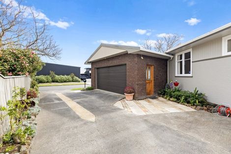 Photo of property in 164 Limbrick Street, Terrace End, Palmerston North, 4410