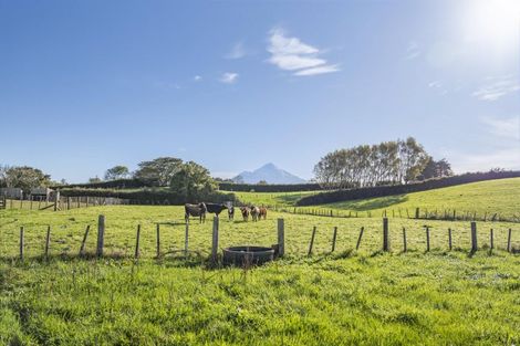 Photo of property in 241 Warwick Road, Stratford, 4391