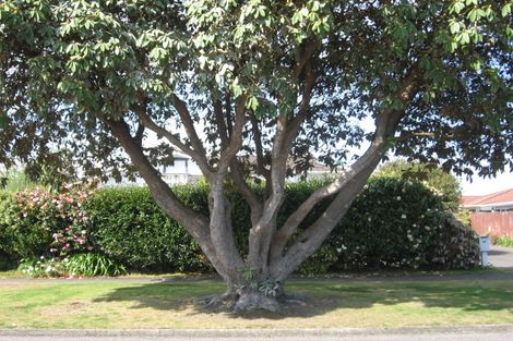 Photo of property in 26a Grey Street, Glenholme, Rotorua, 3010