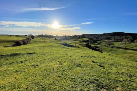 Photo of property in 164 Mossop Road, Tokoroa, 3491
