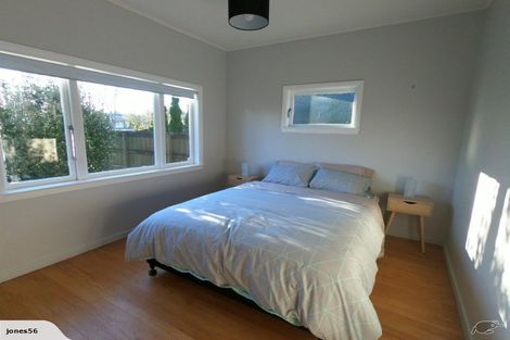 Photo of property in 19 Richmond Street, Whitiora, Hamilton, 3200