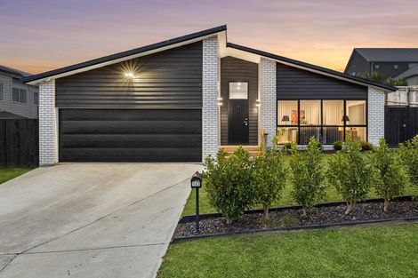 Photo of property in 142 Lisle Farm Drive, Pukekohe, 2120