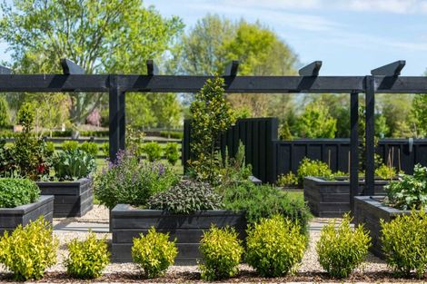 Photo of property in 18 Orchard Place, Matamata, 3472
