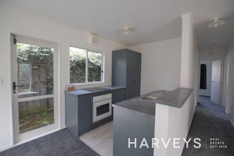 Photo of property in 46 Hindmarsh Street, Henderson, Auckland, 0612