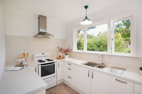 Photo of property in 42a Pitama Road, Awapuni, Palmerston North, 4412