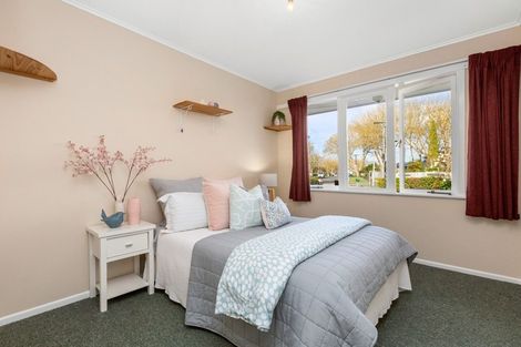 Photo of property in 29 Olwyn Terrace, Dinsdale, Hamilton, 3204