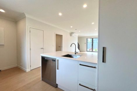 Photo of property in 10 Park Green Avenue, Rosehill, 2113